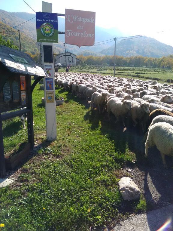 L'Estapade Des Tourelons Bed & Breakfast Сан-Жан-ан-Ройан Екстериор снимка
